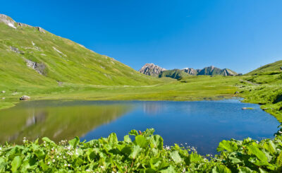 LR_PageHeader11
