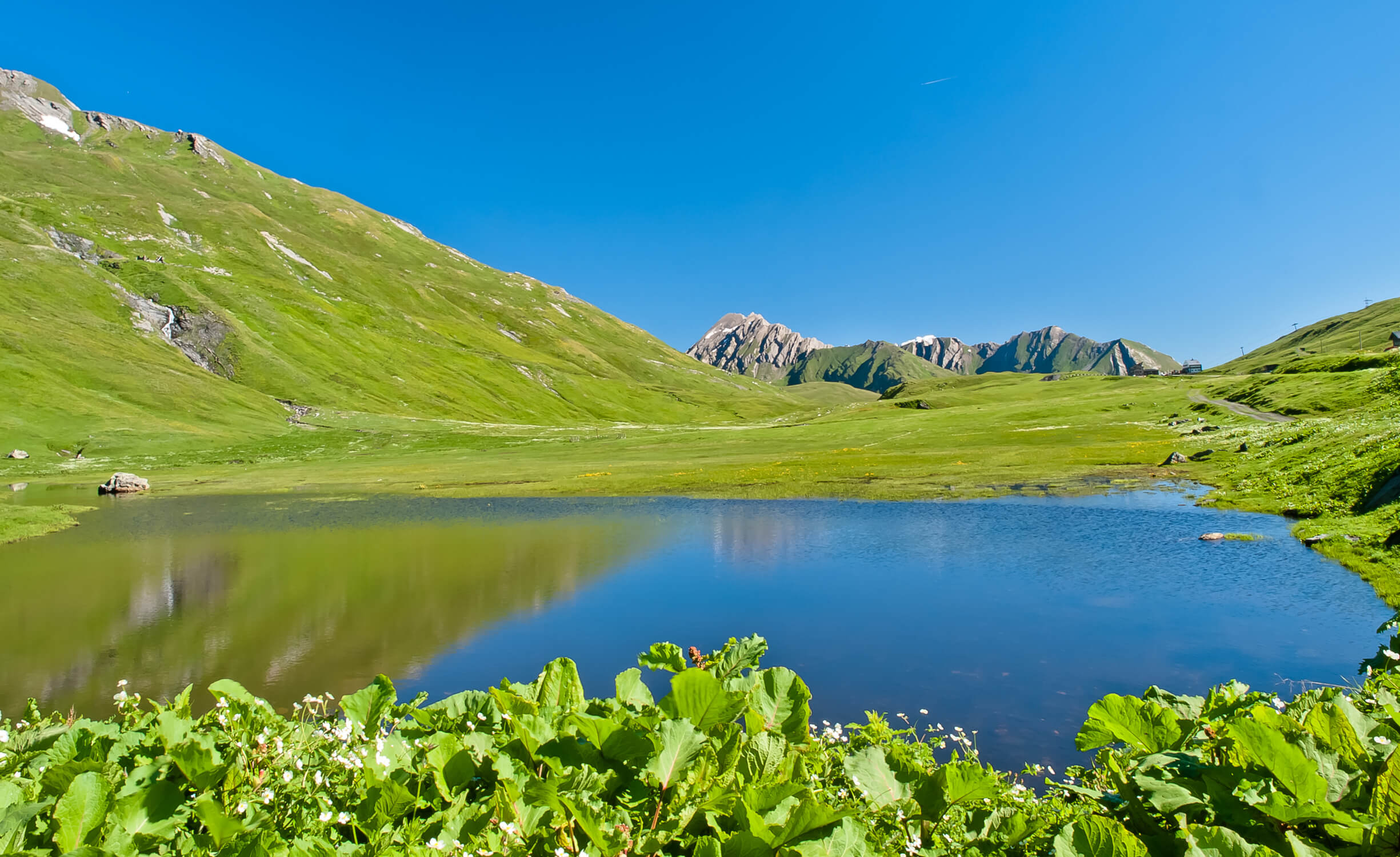LR_PageHeader11
