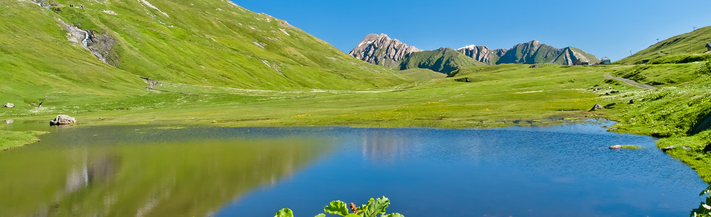 LR_PageHeader11