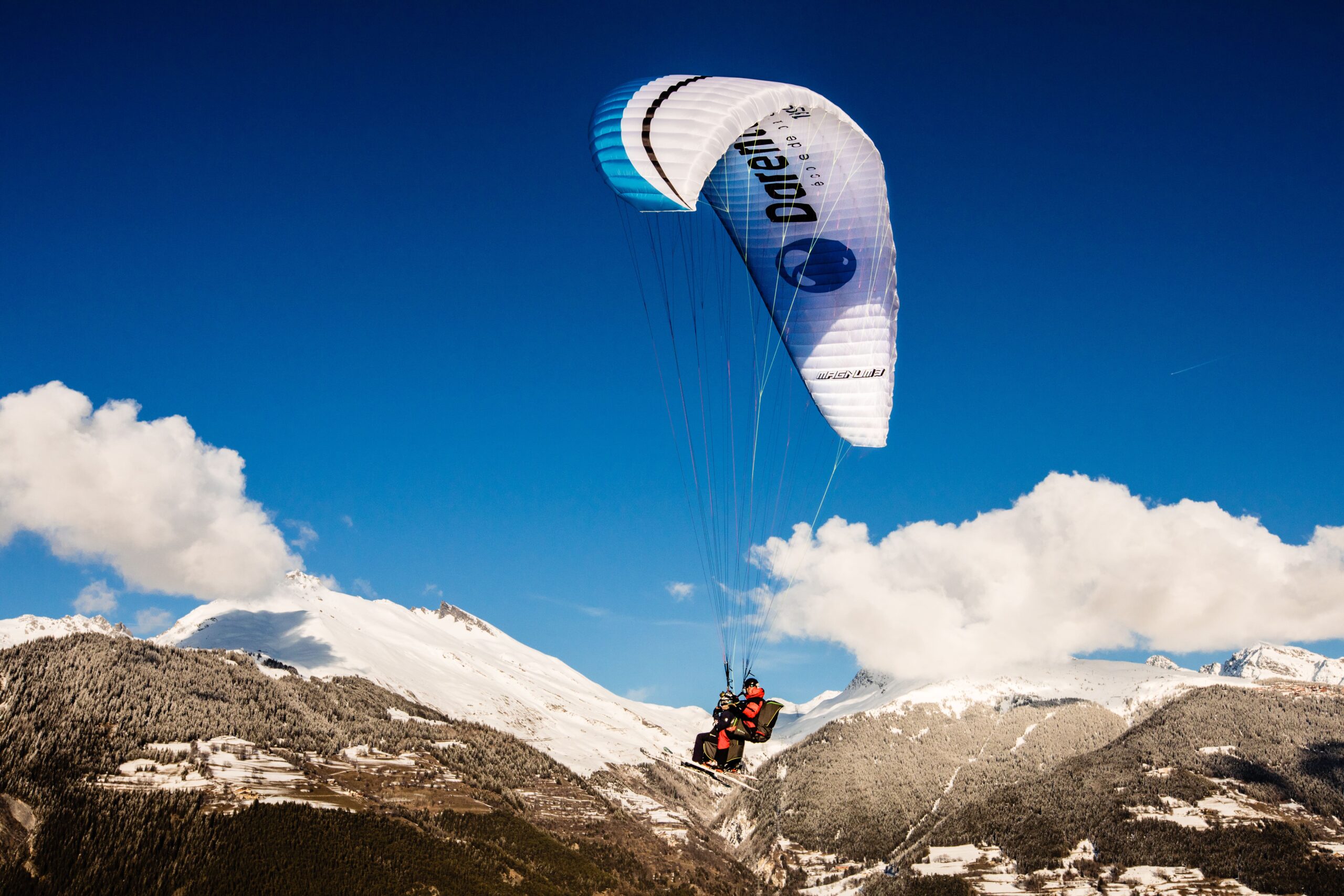 Darentasia parapente