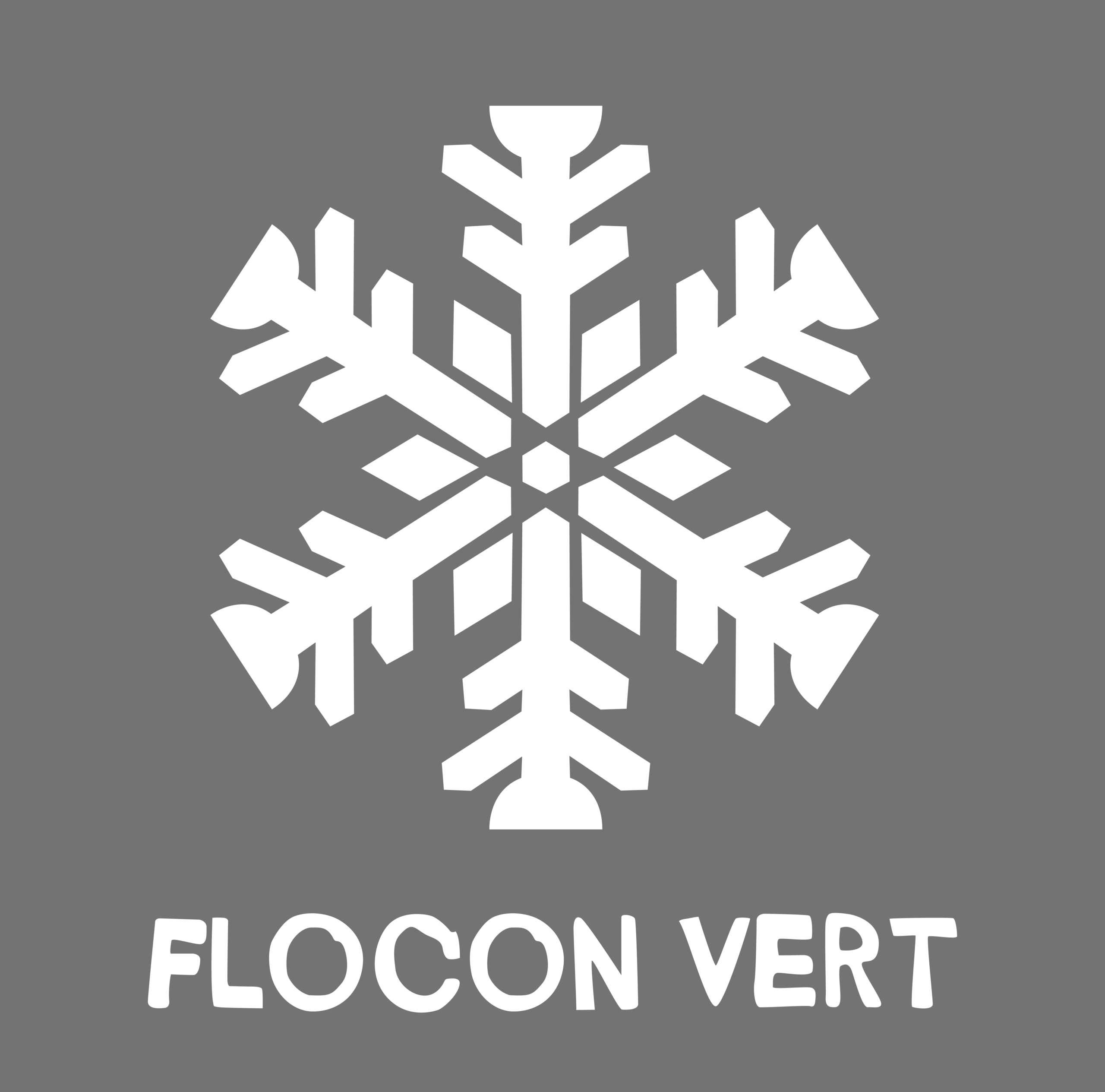 Flocon Vert